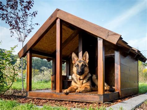 Best Dog House For German Shepherd All About German Shepherds