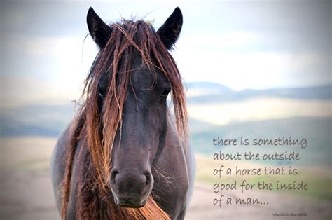 Inspirational Quotation Horse Photo With Quote Rustic Decor Equine