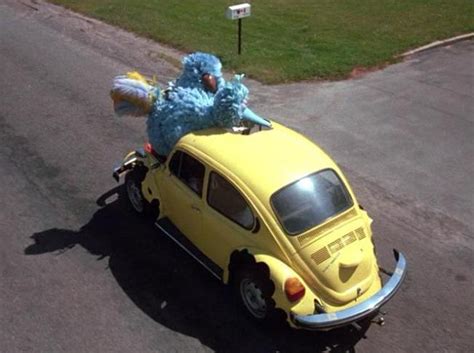A trip in the car is a fun outing. A Much Deeper Level: Follow That Bird, Part 5: Bringing It ...
