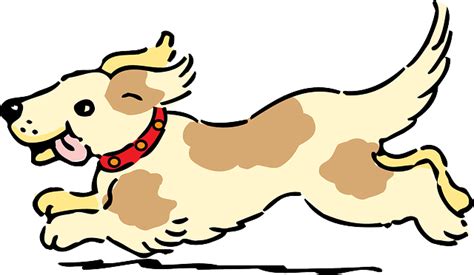 Dog Happy Running · Free vector graphic on Pixabay