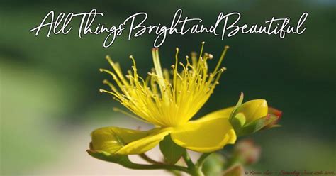 All Things Bright And Beautiful Poem By Cecil Frances Alexander Fan