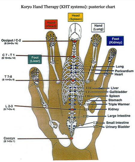 reflexology charts hand foot and ear reflexology chart tips