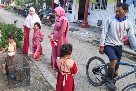 We did not find results for: Warga Lamongan Kembali Selamatkan Kucing Hutan - Mongabay ...