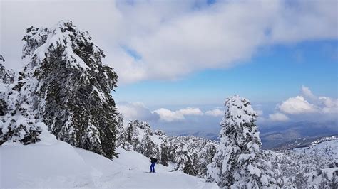 Mt Olympus Snow Forecast Mid Mountain Snow