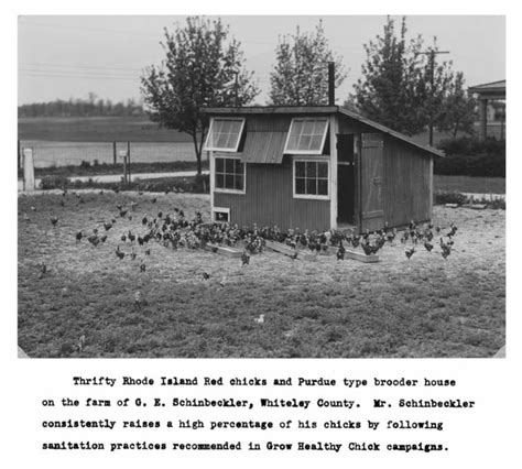 Association History — Indiana State Poultry Association