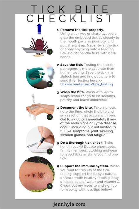 Pin On Lyme Disease Education