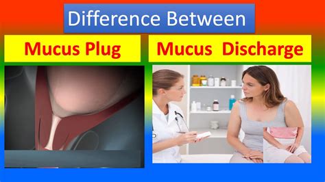 Difference Between Vaginal Mucus Plug And Vaginal Discharge Youtube