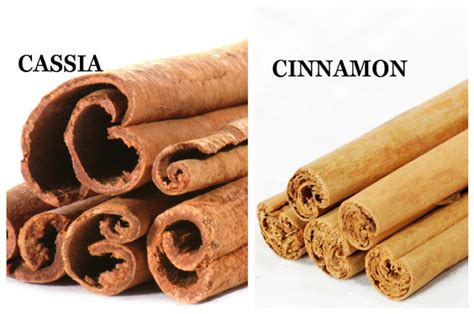 Mengenal Lebih Dekat Kulit Kayu Manis Cinnamon Myrokan
