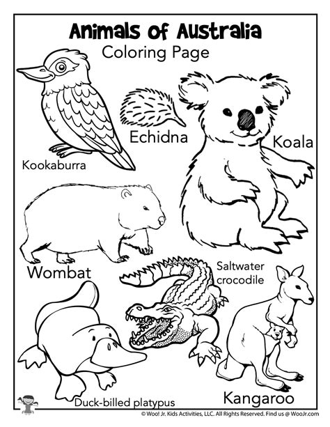Australia Animals Coloring Page | Woo! Jr. Kids Activities : Children's