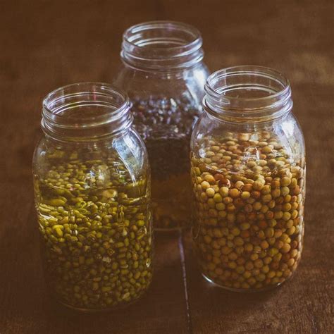 How To Sprout Seeds In A Sprouting Jar