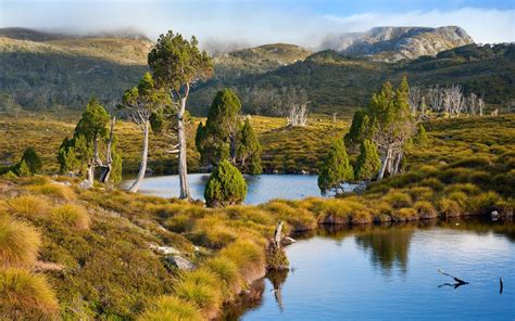 Tasmania Australia Lake Mountain Grass Trees Water Shrubs Nature Landscape Wallpapers