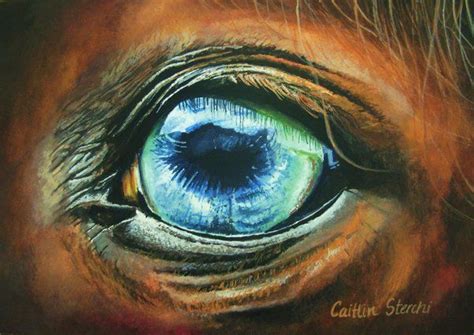 On Deviantart Horse Eye