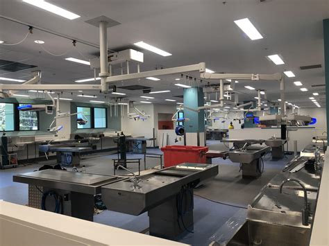 Pathology Laboratory Lab in Lidcombe - MKDCSD