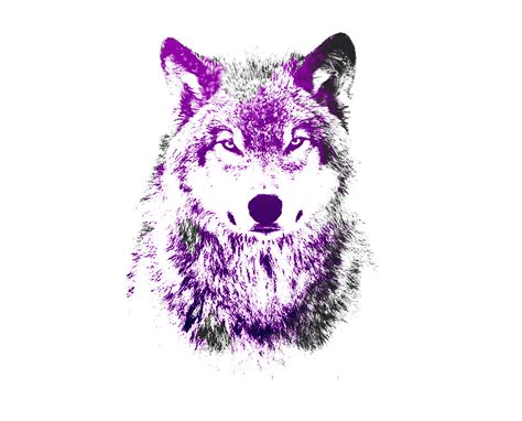 Purple Wolf Image Wallpapers Reddit