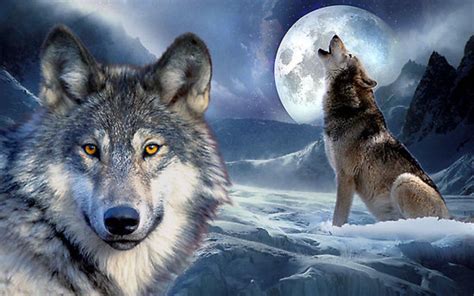 Wolf Backgrounds Wallpaper Cave