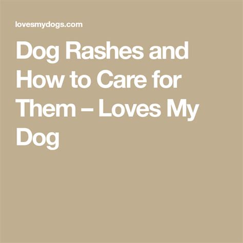 Dog Rashes And How To Care For Them Loves My Dog Dog Rash Cleaning
