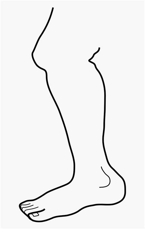 Leg Clipart Black And White Hd Png Download Kindpng