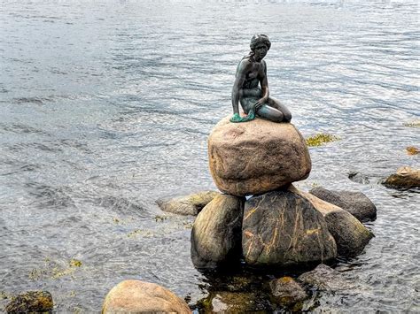 Photo Famous Little Mermaid Statue In Copenhagen Denmark Little