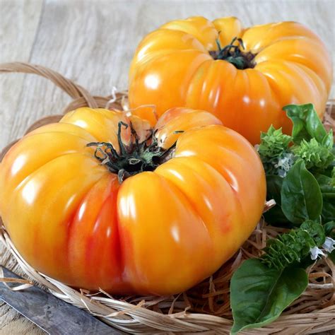 Tomato- Pineapple seeds | The Seed Collection