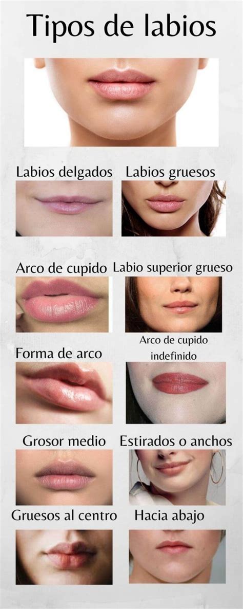 ¿cuál es la forma perfecta de los labios ⬅️ crea tu cuerpo