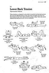 Many people don't realize the relationship between the hamstrings and lower back. Lower Back Pain Relief Stretches on Pinterest | Lower Back ...