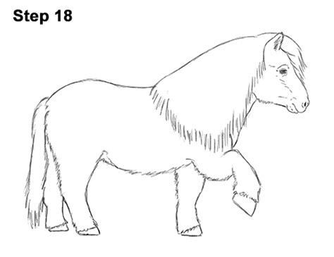 Shetland Pony Drawing Sketch Coloring Page