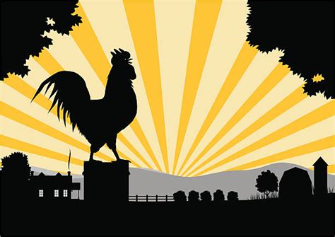 Rooster Sunrise Illustrations Royalty Free Vector Graphics And Clip Art