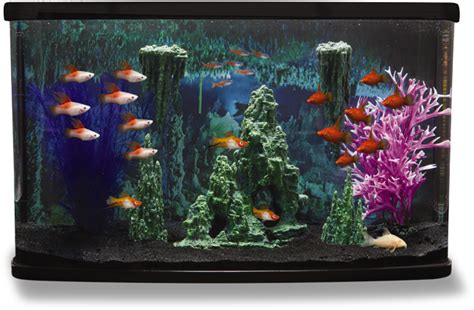 Aquarium Fish Tank Png Hd Quality Png Play