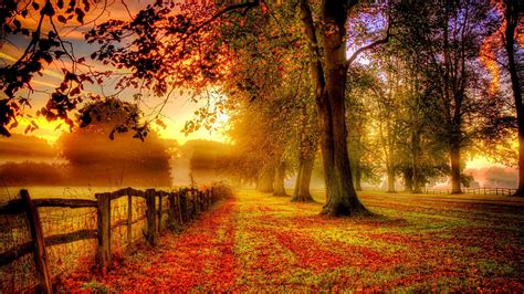 Wallpaper Park Autumn Scenery Red Leaves Road Fence 1920x1200 Hd