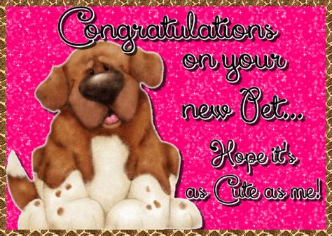 Congratulations On Your New Pet Free Congratulations Ecards 123