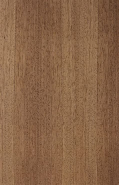 Light Cocobolo Veneer Texture Wood Texture Seamless Laminate Texture