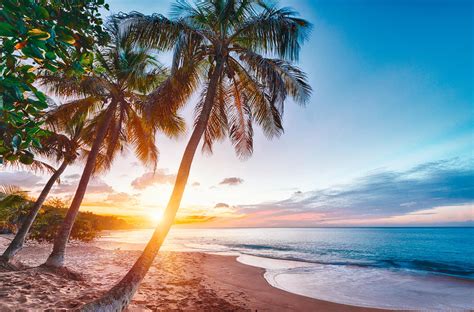 Wie komme ich von los angeles nach guadalupe (insel) per flugzeug. Costa Crociere bestätigt Karibik-Präsenz in der ...