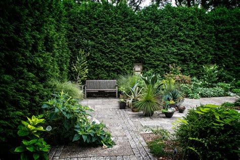 Beautiful Modern Garden Ideas For 2024 Landscaping Designs Shrubhub