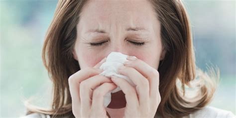 Chocolate makes me sneeze is a common complaint made by many. Things In Your Home Making You Sneeze - Common Allergens ...