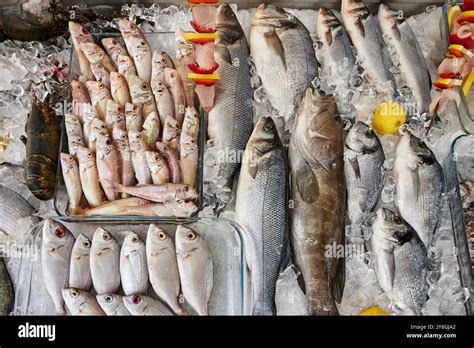 Different Types Of Fresh Raw Sea Fish On Ice Stock Photo Alamy