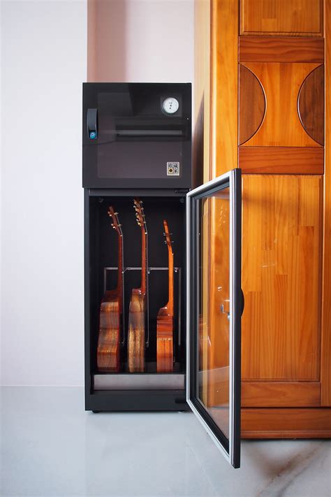 We did not find results for: 24 Guitar Storage Cabinet, Astonishing and Stunning Too