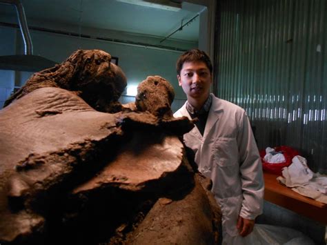 Effort To Clone Woolly Mammoth Takes Big Step Forward Huffpost Impact