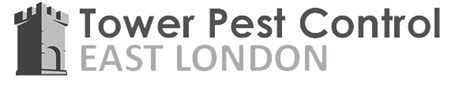 Reviews for 24/7 pest control. Pest Control East London - 24/7 Same Day Service | Tower ...