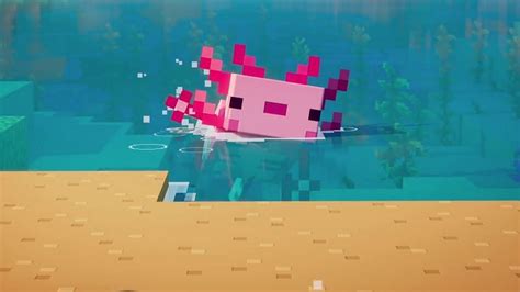 How To Find Axolotls In Minecraft 117 Version Easily