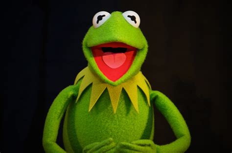 New Kermit The Frog Voice Debuts Billboard Billboard