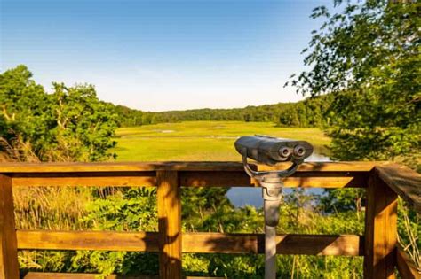 So Many Reasons To Visit York River State Park Traveling With Purpose