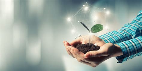 Tech Transformation How Agriculture Is Being Redefined Through Digital Innovation And Startups