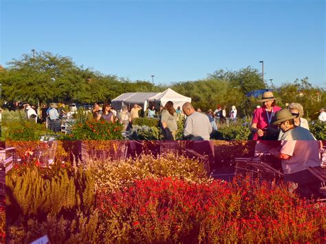 Scottsdale Daily Photo Photo Desert Botanical Garden Plant Sale