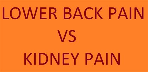 Lower Back Pain Vs Kidney Pain The Difference Rrmch