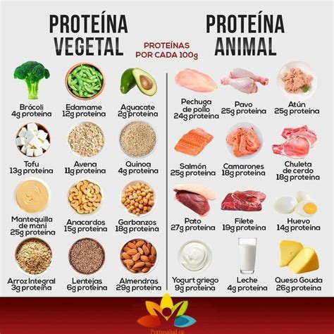 Proteína Vegetal Proteína Animal Actividadesdenutrición Alimentos