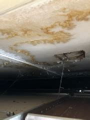 Grid ceilings are a popular variety of false ceilings which not only look good, but also have excellent sound absorption qualities. Asbestos in Fiberboard Sheathing FAQs