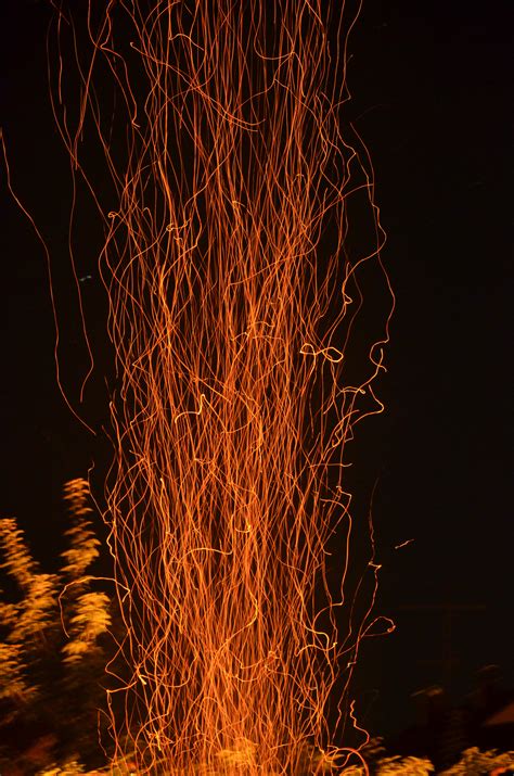 Free Images Tree Branch Light Night Warm Sparkler Red Flame