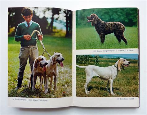 Turning Pages Another Vintage Book About Dogs