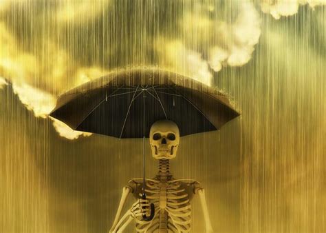 La lluvia ácida se produce cuando ciertas emisiones contaminantes entran en contacto con la humedad de la atmósfera. ¿Cómo se forma la lluvia ácida? - VIX