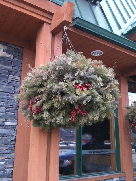 Explore amara's christmas shop online now. Christmas hanging basket | Christmas hanging baskets ...